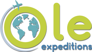 Travel Agency and Tour Operator
